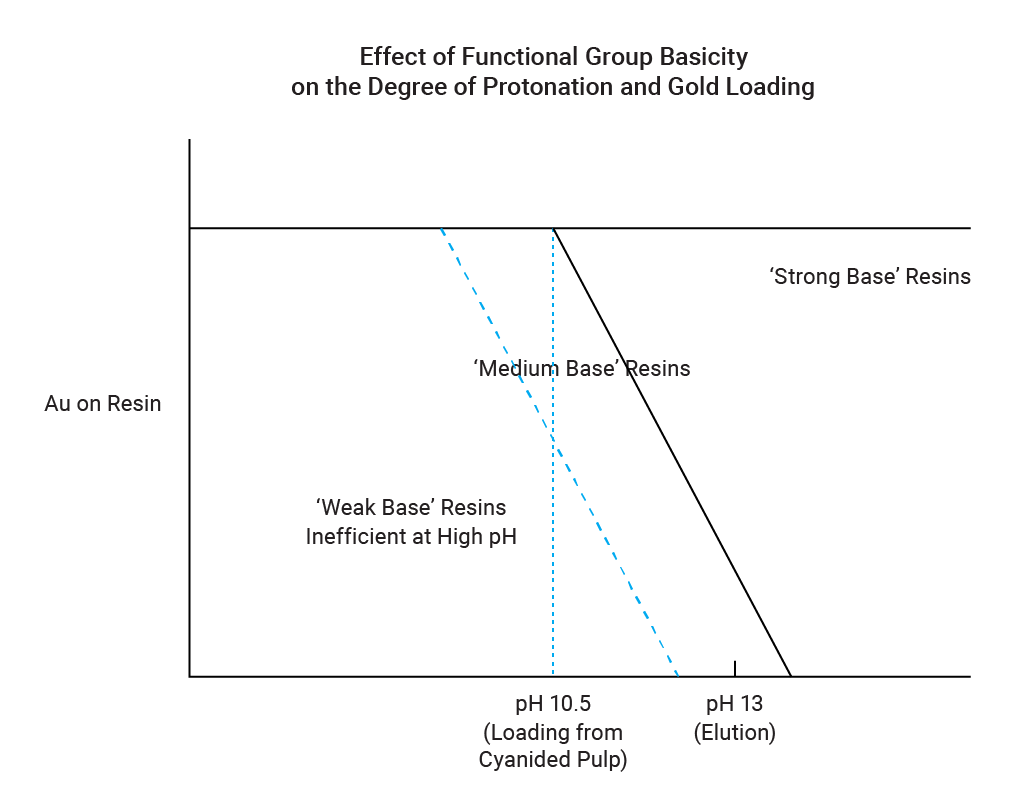 Effect of Basicity on Protonation and Loading