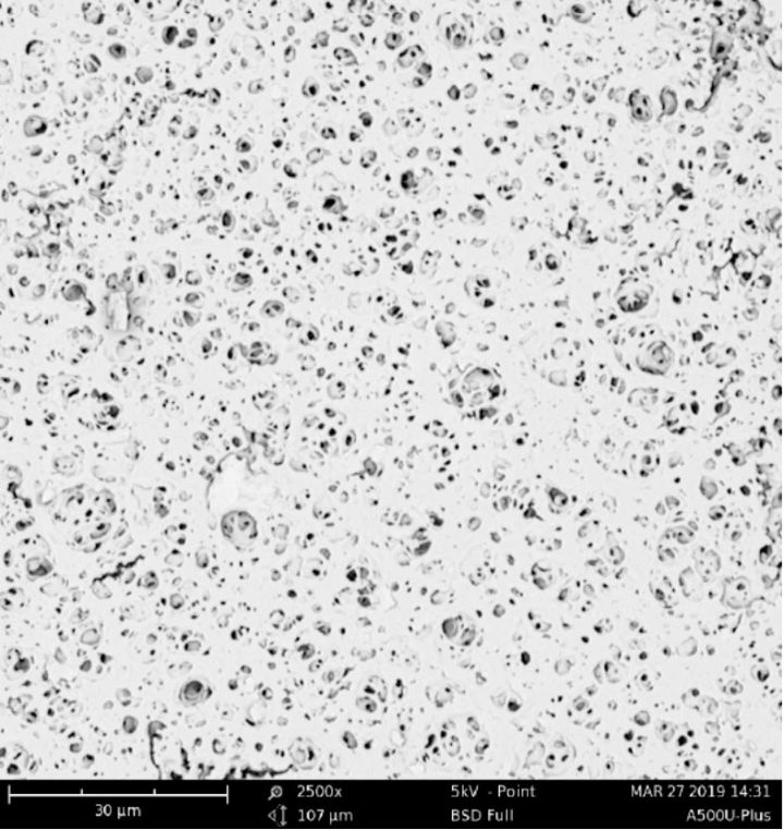 pore structure MTA5012